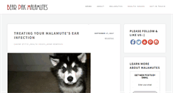 Desktop Screenshot of bear-pak.com
